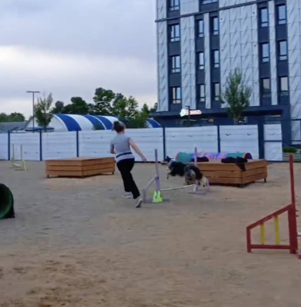 Аджилити